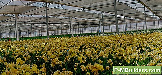Hydrocultuursystemen: Een Slavlot Maken
