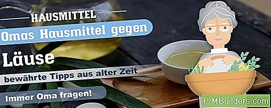Wie Zu Entfernen Lebensmittel Mixer Gerüche