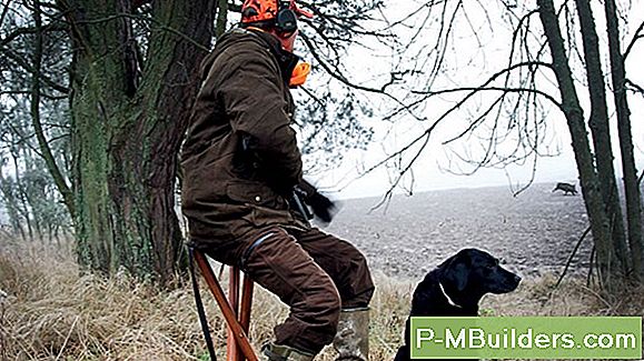 Tipps Für Die Maurerreparatur