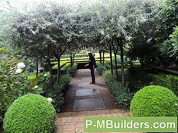 7 Topiary Tree Design Ideas
