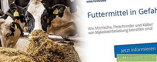 Diagnose Der Schädlinge / Krankheiten, Die Ihren Persimmonbaum Beeinträchtigen