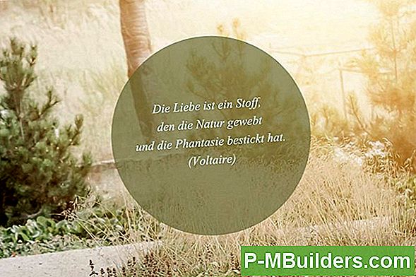 Keimt Eine Robinie Baumsamen