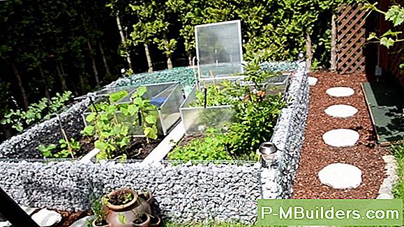Kuidas Ploomi Boxwood