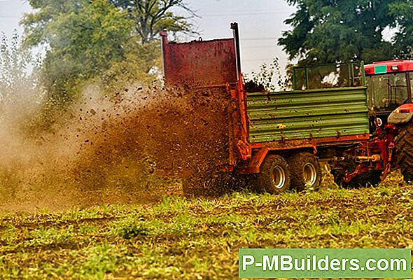 Mulch Ihr Garten Mit Zerdrückten Muscheln