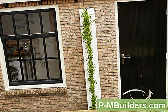 Pflanze Ein Vertikaler Gemüsegarten