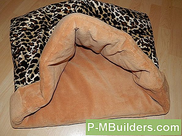 Mit Bodendecke Als Lebende Mulch