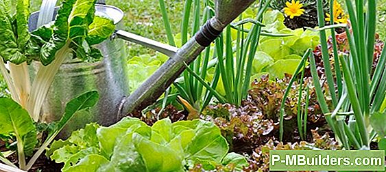Was Ist Square Foot Gardening?