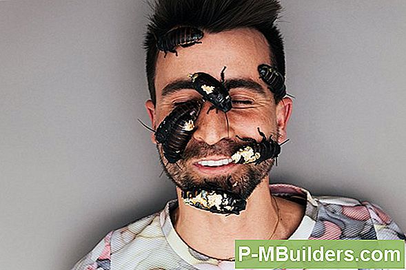 Wie Man Kakerlaken Ohne Exterminator