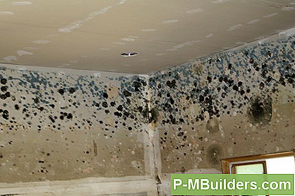 How To Crawlspace Schimmel Behandeln