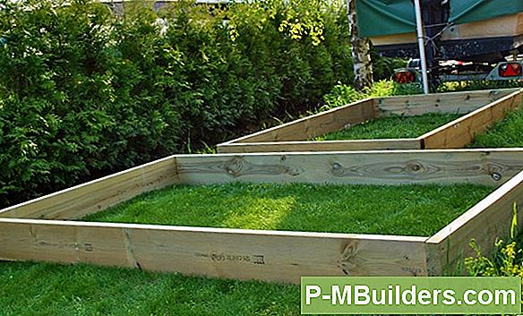 Bell Pepper Sorter Explained