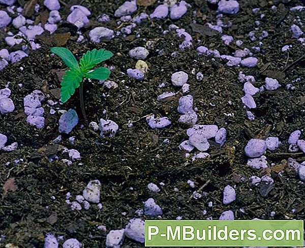 Benifical Organic Soil Ingrediants For Growing Carrots