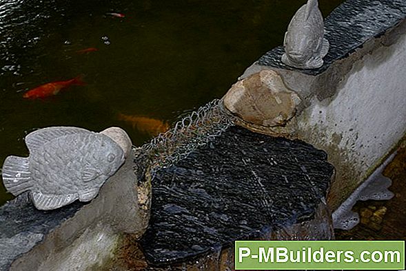 Att Köpa Koi Fisk För Din Koi Pond