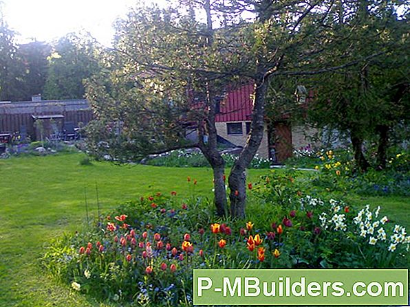 Hur Att Plantera En Crabappletree