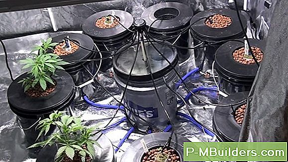 Hydroponic Systems: Montering Av Ett Aeroponsystem Hemma