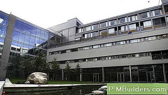 Ta Bort Döda Ben Från Vintergröna Träd
