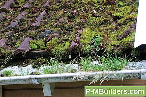 Rengöring Moss From Bricks