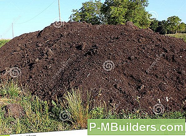Benifical Organisk Jord Ingrediants För Växande Morötter