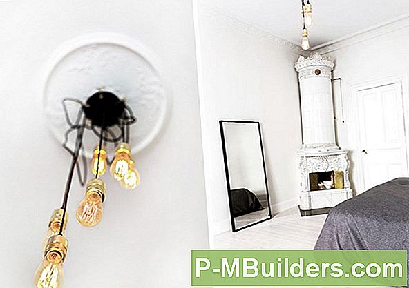 Bästa Typer Av Ljus För Växter