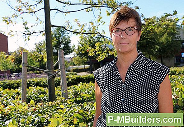 Vård Av Japanskt Blodgräs