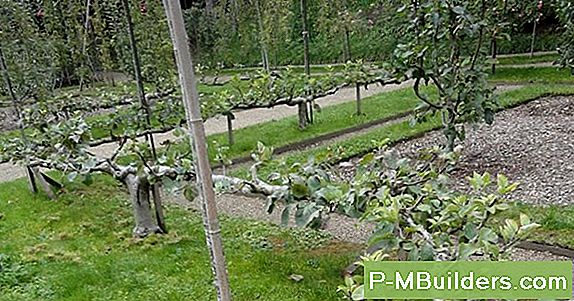 Vanliga SĂ€tt Att Plantera En Potatisodling
