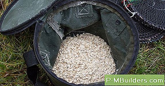 Hemma Ant Control Made Easy
