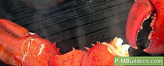 Hur Många Maskar Ska Min Vermicompost Börja Med?