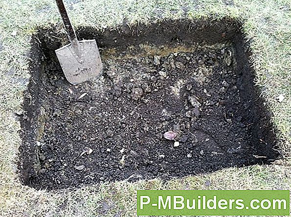 Hur Organisk Jord PÄverkar Persiljautbytet