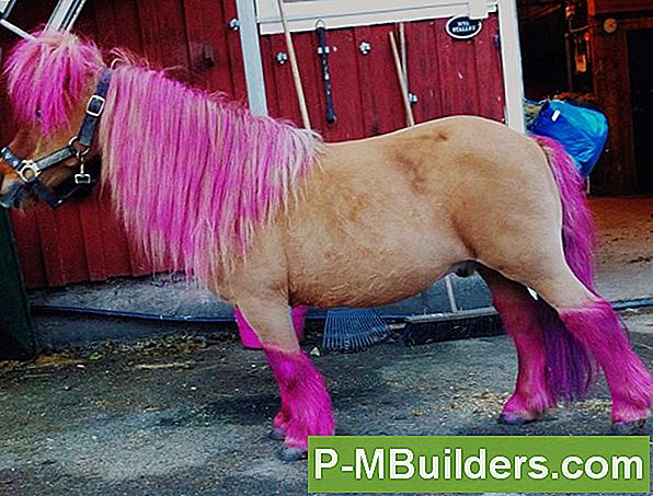 Hur Man Rider Din Bollsegel