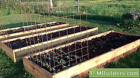 Plantering Fröer I En Matplot För Hjort