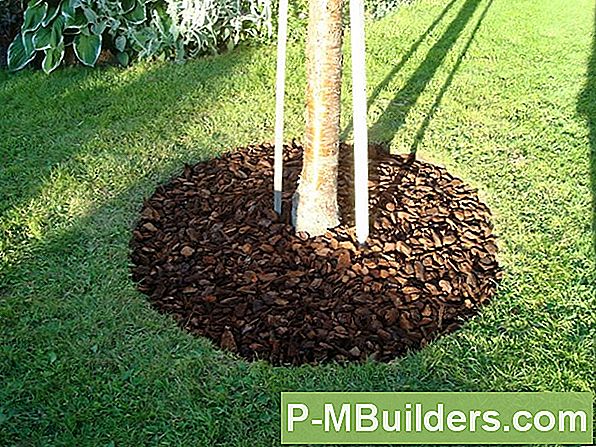 VĂ€lja Bark Mulch: Chunks, Nuggets, Eller Shredded?