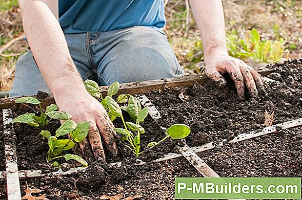 Vad Ăr Square Foot Gardening?