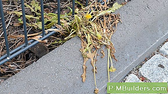 Hur Man Bekämpar Luftföroreningar I Städerna
