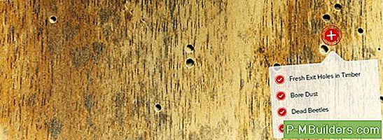 Diy Woodworm Behandlingstips