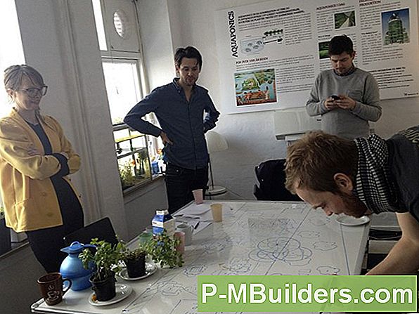 Aquaponics: Vedligeholdelse Af Sikre Nitratniveauer