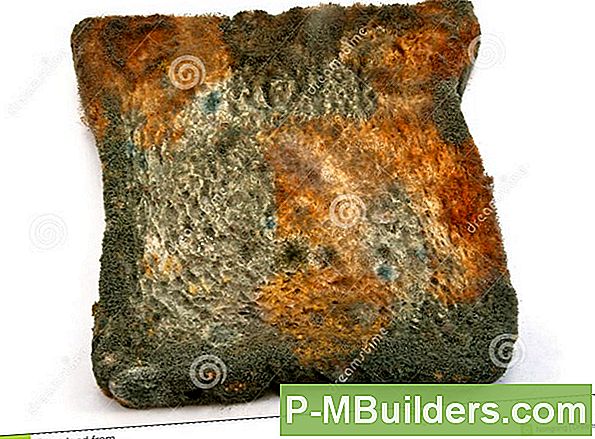 4 Black Mold Effekter