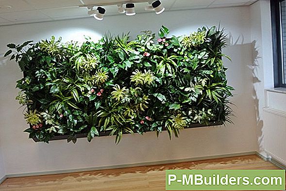 Hur Ta Hand Om Radiata Pine Lumber
