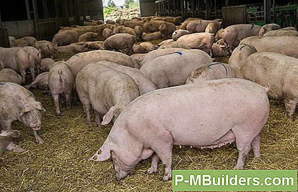 Belangrijke Factoren Bij Het Gebruik Van Antieke Bakstenen