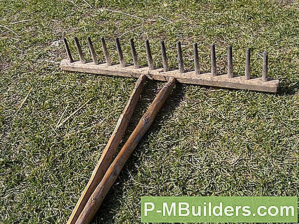 Soorten Hay Feeders Explained