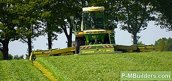 Bodemvruchtbaarheid En Plantgezondheidstips