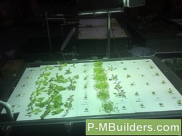 Aquaponics: Air Stones Gebruiken