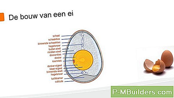 Bouw Een Microbial Fuel Cell: Bedrading