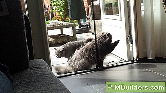 Openslaand Vs. Glass Block: Basement Window Security