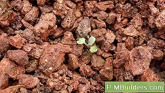 Aquaponics: Good Grow Bed Media