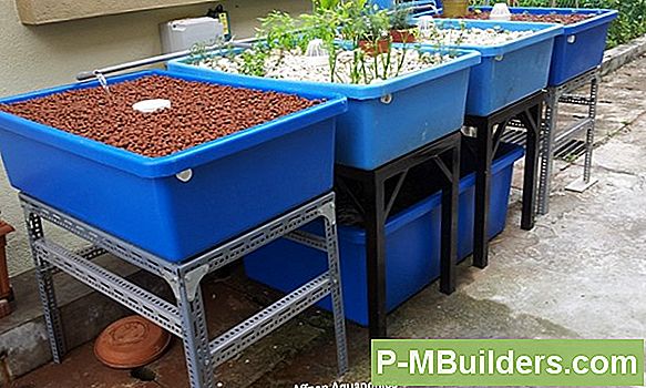 Aquaponics System Kit Vs Homemade