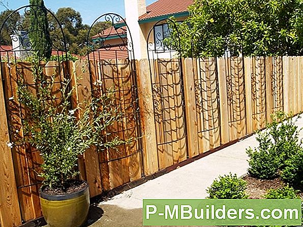 Taimed Kasvatada Pot Trellis