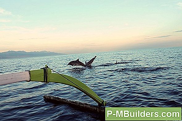 Kuidas Paadi Propellerit Muuta