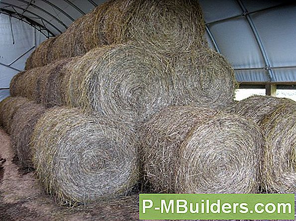 Seeder Shingle Siding