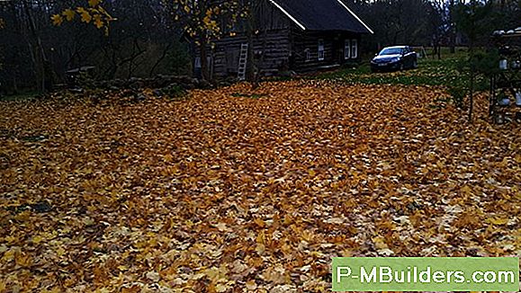 Kuidas Lumepuhuri Mootorit Eemaldada