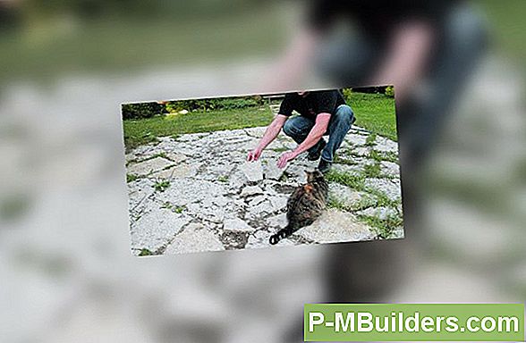 Kuidas Paekivist Paekivist Tellised