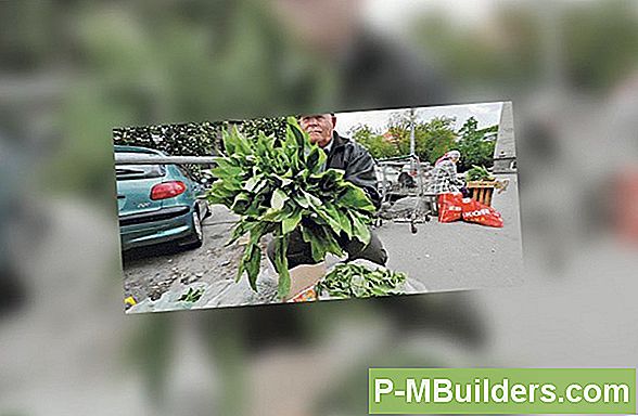 Kasulik Kuumaveekabiin Spa Kaaned Ajutised Parandused